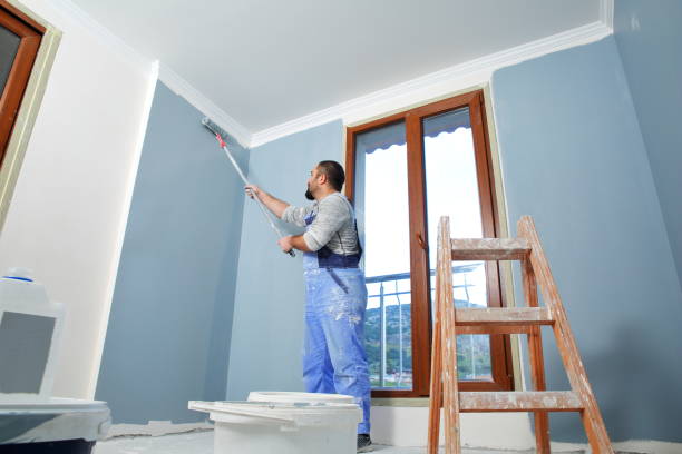 Best Water Damage & Mold Remediation  in Palmyra, NJ