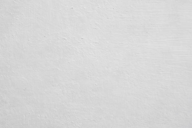 Best Attic Mold Removal  in Palmyra, NJ
