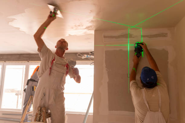 Trusted Palmyra, NJ Mold Removal Experts