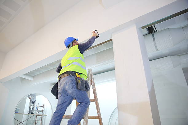 Best Emergency Mold Remediation  in Palmyra, NJ